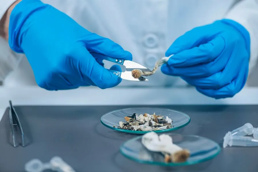 scientist preparing a psychedelic dose